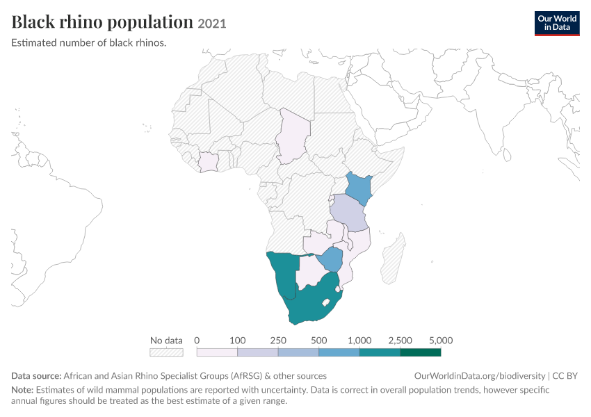 Black rhino population