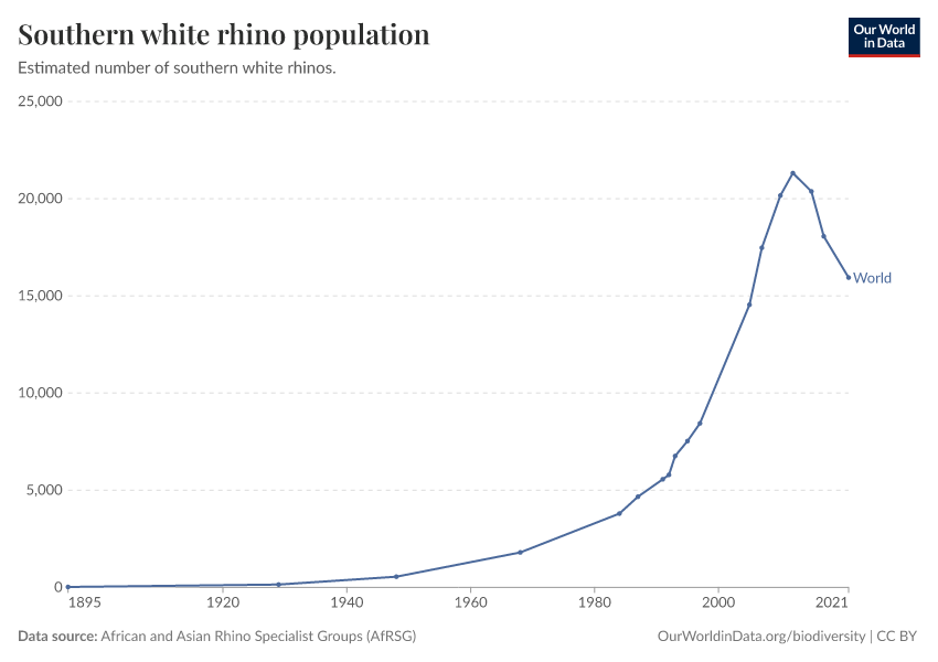 Southern white rhino population